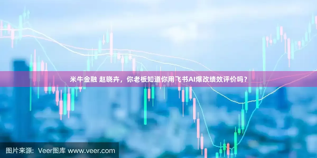 米牛金融 赵晓卉，你老板知道你用飞书AI爆改绩效评价吗？