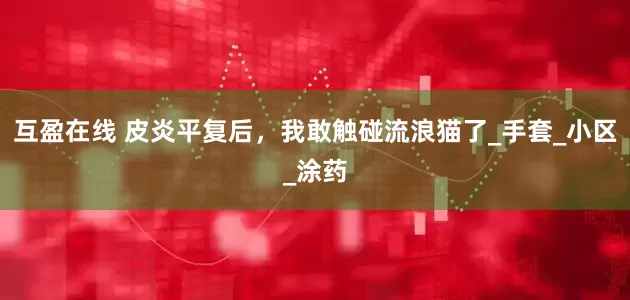 互盈在线 皮炎平复后，我敢触碰流浪猫了_手套_小区_涂药