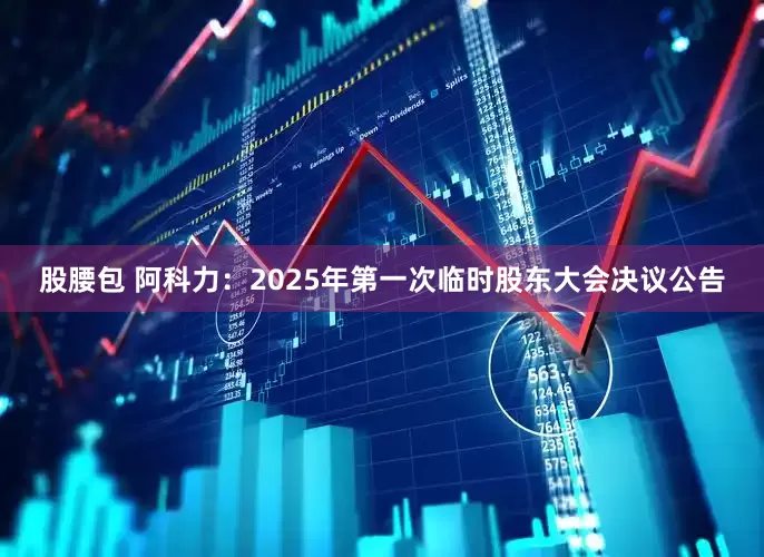 股腰包 阿科力：2025年第一次临时股东大会决议公告